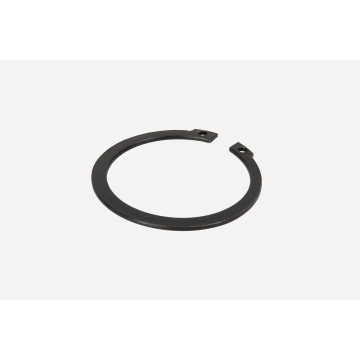 Abbildung: Seegerring